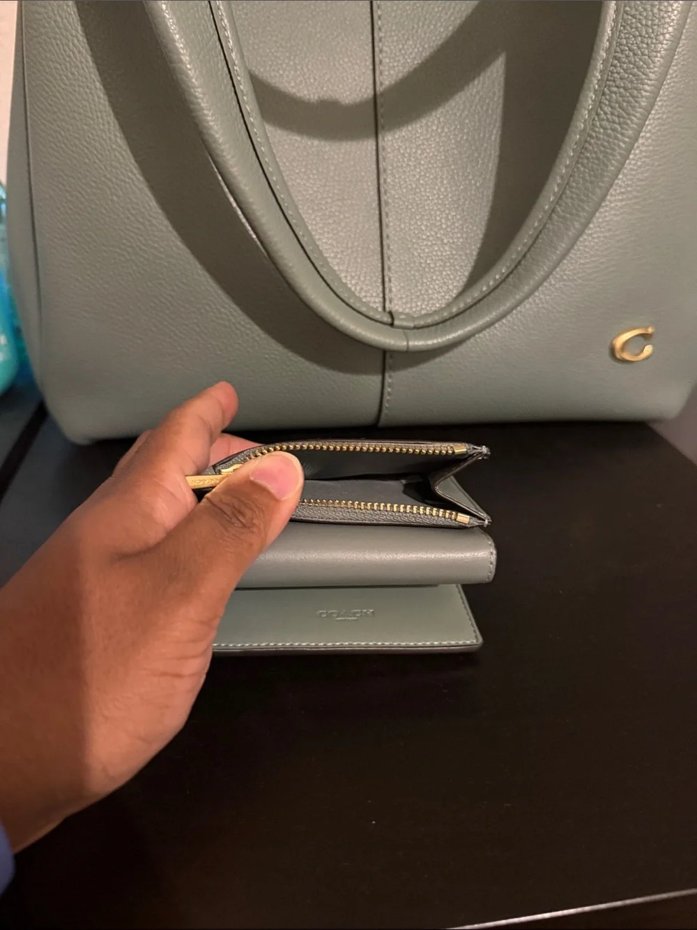 Coach Large Lana Bag in Sage